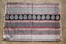 Chinmayi * Bagh Printed . Chanderi Saree * 20