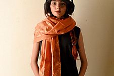 Nabha . नाभा ~ Hand Embroidered Phulkari Silk Stole - Brown