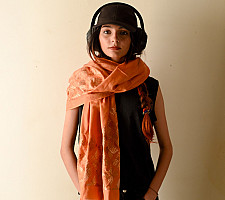 Nabha . नाभा ~ Hand Embroidered Phulkari Silk Stole - Brown