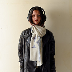 Preet ~ Hand Embroidered Phulkari Woolen Shawl - Ice Blue Color