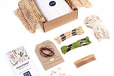 Knotted ▣ DIY Cactus Wall Hanging Craft Kit - Light Colors