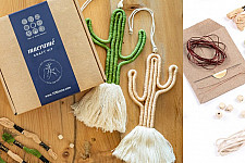 Knotted ▣ DIY Cactus Wall Hanging Craft Kit - Light Colors