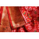 अनेरी  | Ashawali Brocade - Patola ✼ Silk Dupatta ✼ F