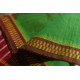 shop Handwoven narayanpet Pure Cotton green saree 