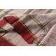 shop handloom narayanpet cotton Checks saree