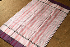 Iravati .  इरावती  - Narayanpet Light Pink Saree - Handwoven Cotton