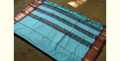 Gilded ~ Cotton Silk - Woven Paithani Zari Border Saree - Sky Blue
