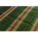 Handwoven cotton Checks Green saree - Andhra Pradesh