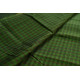 Handwoven cotton Checks Green saree - Andhra Pradesh