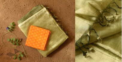Indravali | Mangalgari Silk Saree + Pochampalli Ikat Blouse - Pistachio Green