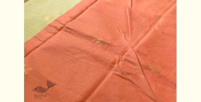 Gilded | Cotton Silk - Paithani Woven Border Saree