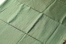 Iris ~ Maheshwari Handloom | Reversible Pure Cotton Saree - Pistachio Green 