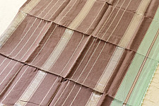 Pavitra . पवित्रा | Zari Border Maheshwari Silk Pistachio Green Handloom Saree