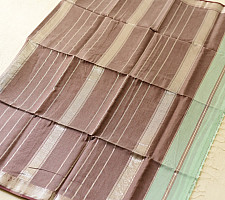 Pavitra . पवित्रा | Zari Border Maheshwari Silk Pistachio Green Handloom Saree