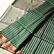 shop Maheshwari Handloom | Allover Zari Stripe Green Saree