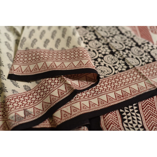 Hand Block Bagh Printed Pure Cotton saree - White & Black