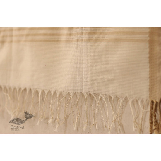 सुगंधिका ✻ Maheshwari ✻ Checks Reshmi Border Stole - Off White ✻ D 8