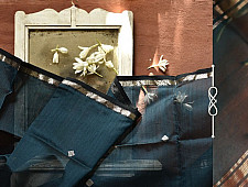 सुगंधिका ✻ Maheshwari ✻ Silver Zari Buti ✻ Stole ✻ B 3