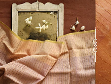 सुगंधिका ✻ Maheshwari ✻ Zari Border Stole ✻ G 16