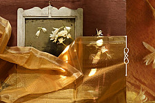 सुगंधिका ✻ Maheshwari ✻ Zari Border stole - Yellow ✻ C 4