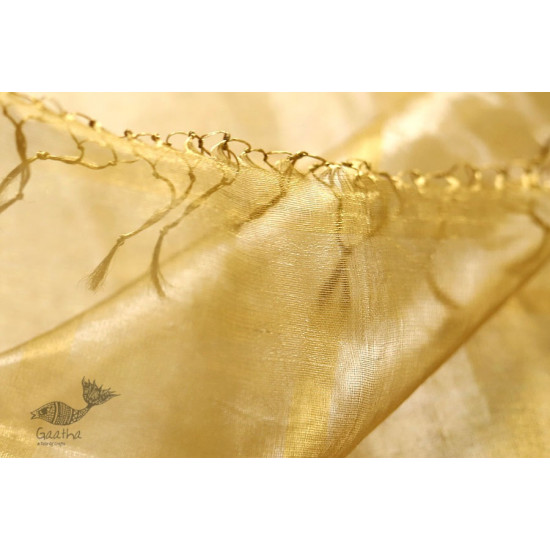 Ojovati ❢ Maheshwari ❢ Full Tussar Saree with Silver & Golden Weaving ❢ 25