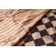 Natural Dyed . Block Printed Pure Silk Saree - Brown & Black Checks