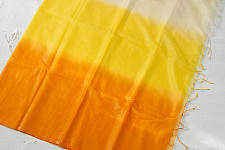 Kopal || Organza Embroidered Saree