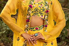 Advaya . अद्वया | Hand Embroidered Chanderi -  Organza Jacket Set Paired with Silk Blouse Includes Wide Leg Pant (Set of 3)