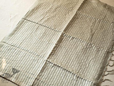 Kopal ✲ Handloom Linen Saree - Hand Embroidered - Light Pista Green