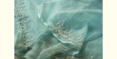 Kopal ✲ Handloom Organza Saree - Hand Embroidered Glass Beads