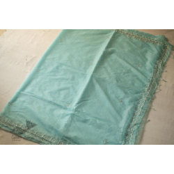 Kopal ✲ Handloom Organza Saree - Hand Embroidered Glass Beads