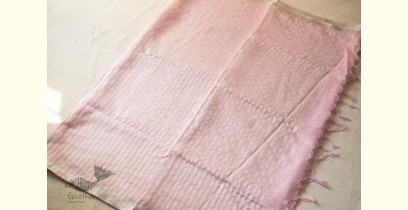 Kopal ✲ Handloom Linen Saree - Hand Embroidered - Baby Pink Color