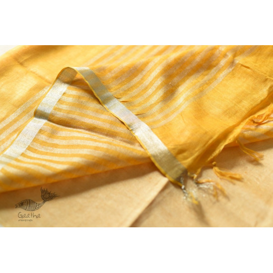 shop Handloom Tissue Linen Saree