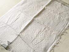 Kopal ✯ Handloom Tissue Linen White Saree - Hand Embroidery