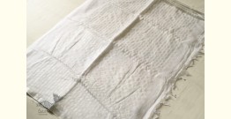 Kopal ✯ Handloom Tissue Linen White Saree - Hand Embroidery