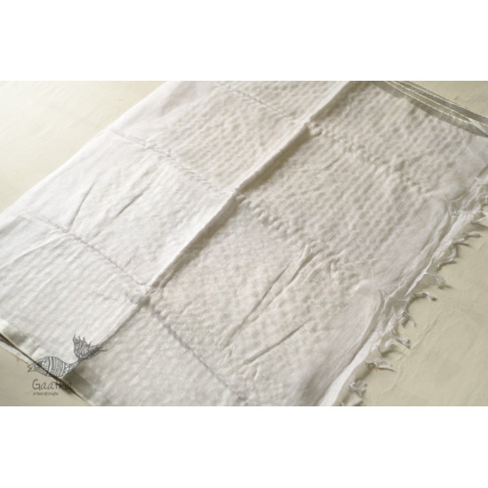 shop Handloom Tissue Linen White Saree - Hand Embroidery