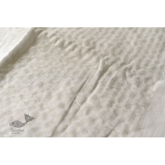 shop Handloom Tissue Linen White Saree - Hand Embroidery