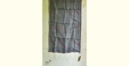 Saarang . सारंग ☁ Kota Doria Silk Embroidered Stole ☁ 14