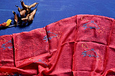 Ittefaq . इत्तफाक | Kota Block Printed Silk Embroidered Stole - Red