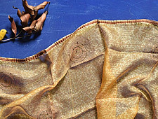 Ittefaq . इत्तफाक | Kota Doria Silk Embroidered Stole - Brown