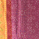 shop Handloom Cotton patola ikat dupatta