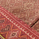 shop Patola cotton Handwoven Saree -  A