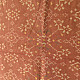 shop Handloom Cotton patola ikat Brick Red dupatta