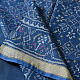 shop Patola cotton Handwoven Saree - 