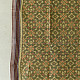 shop Handloom Cotton patola ikat green dupatta