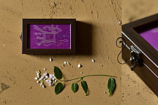 Joyance ⚙ Patola Jewelry Box ( 5" x 3" ) ⚙ 6