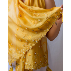 A Symphony in Color | Hand Knitted Crochet Chanderi Stole - D90