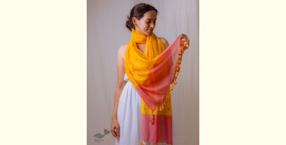 A Symphony in Color | Hand Knitted Crochet Chanderi Stole - K
