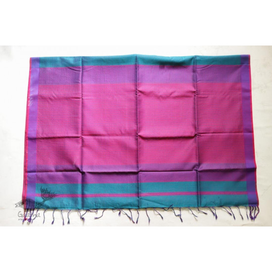 वार्तालाप . Vartalaap ❢  Handloom Maheshwari Saree ❢ 2