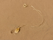 Ottone ✡ Necklace ✡ Fossil Pendent S - 1 ✡ 30